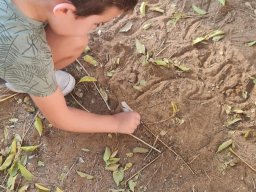 ColoursOfMyParkESP (2)